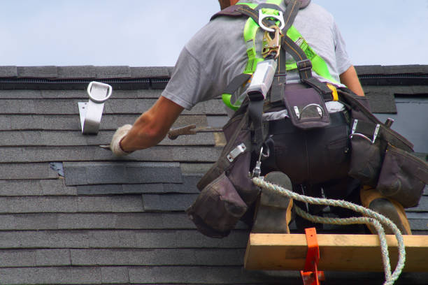 Best Roof Leak Repair  in New Mford, IL
