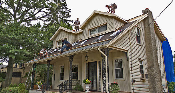 Best Residential Roofing Contractor  in New Mford, IL